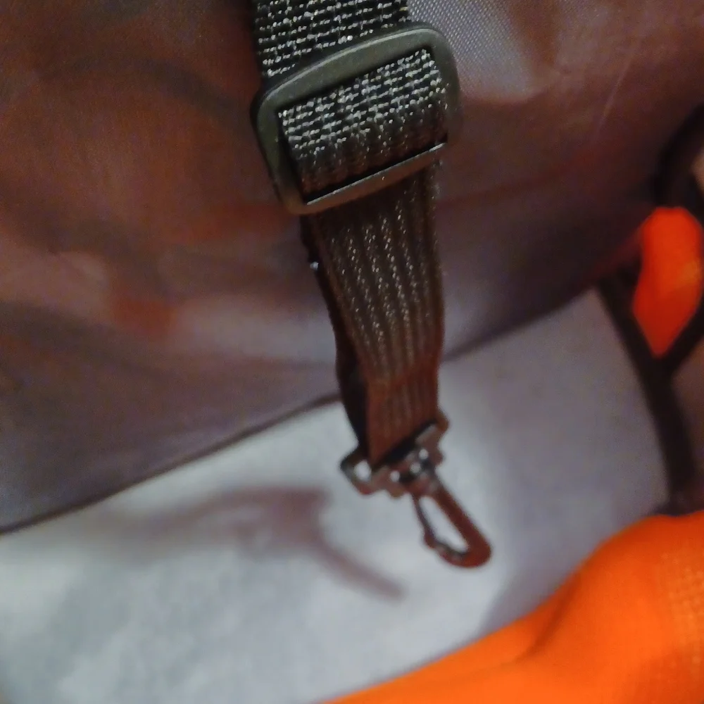 Dog carrier backpack